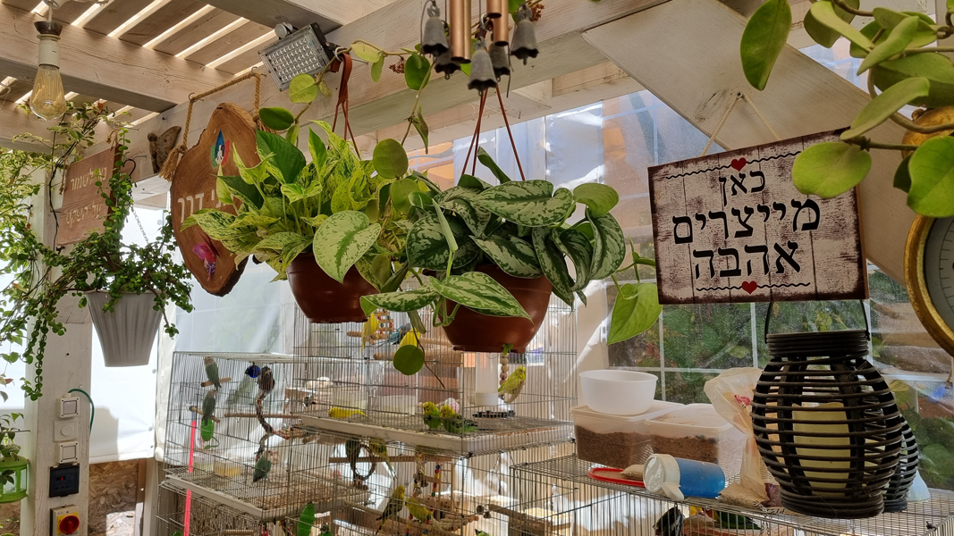 יצירת זיכרונות שנשארים: טיפול זוגי בוואטסו באירועים מיוחדים
